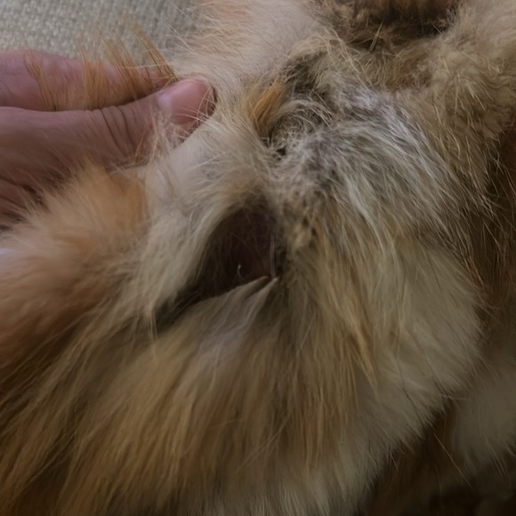 Vintage fur coat size medium jacket - Picture 7 of 8